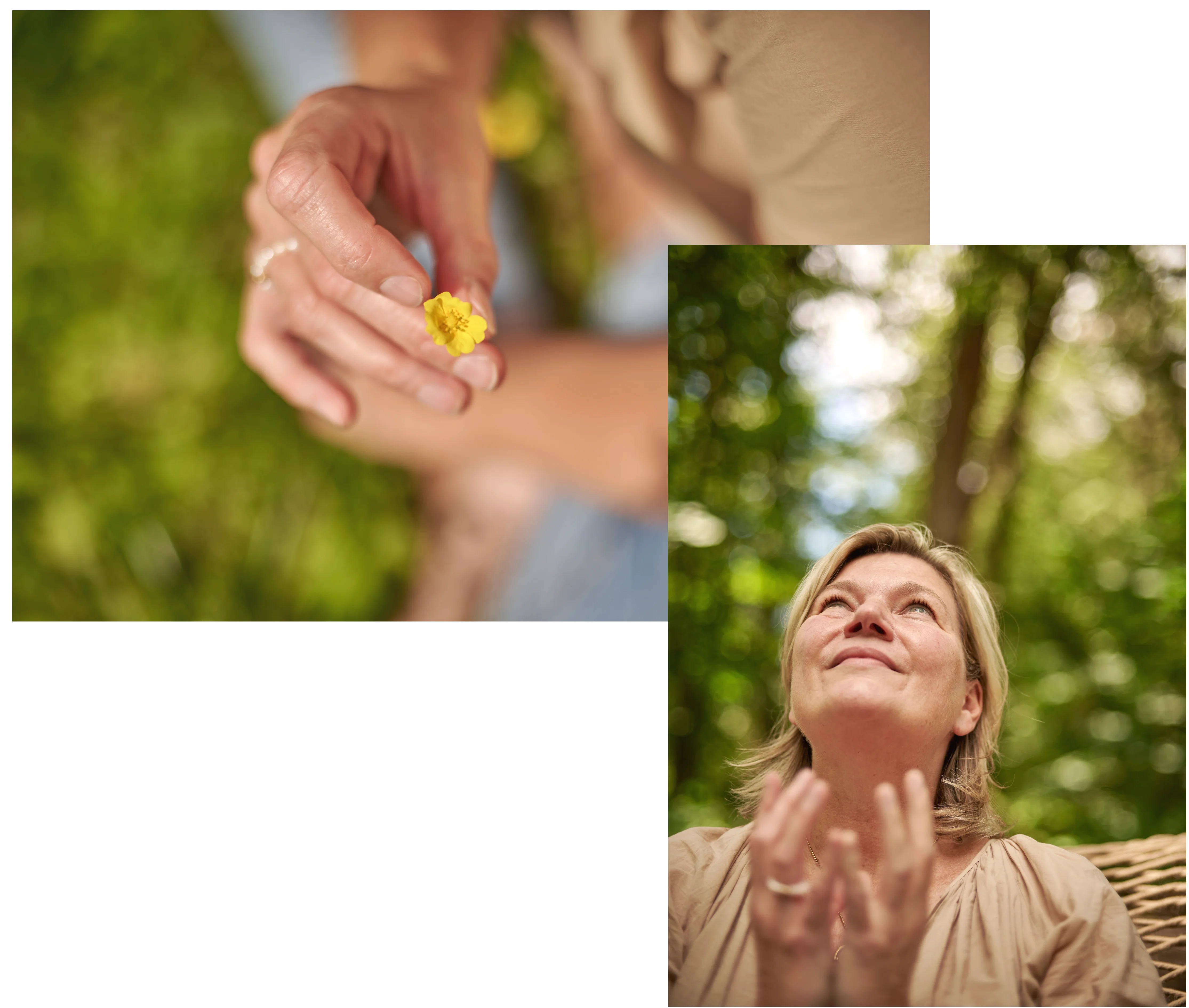 Wie bin ich hierhergekommen ?